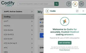 Codie AI assistant